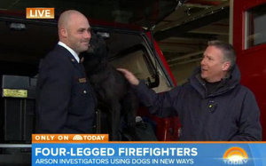 Labor In The News: DC Firefighter --and his dog -- on Today Show